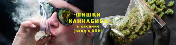 сатива Горняк