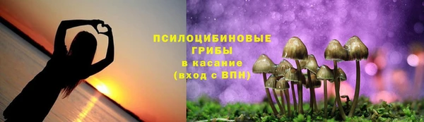 прущие крисы Вязьма