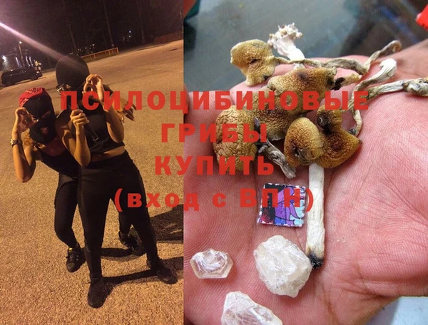 a pvp Верхний Тагил