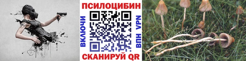 kraken ссылки Ельня Псилоцибиновые грибы ЛСД купить наркотики сайты