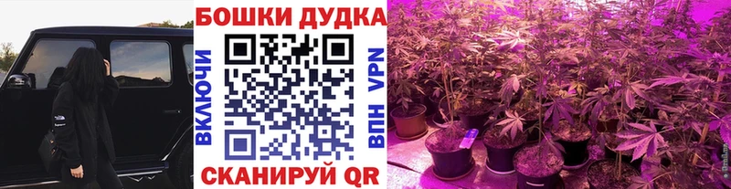 Каннабис тримм  закладка  Ельня 